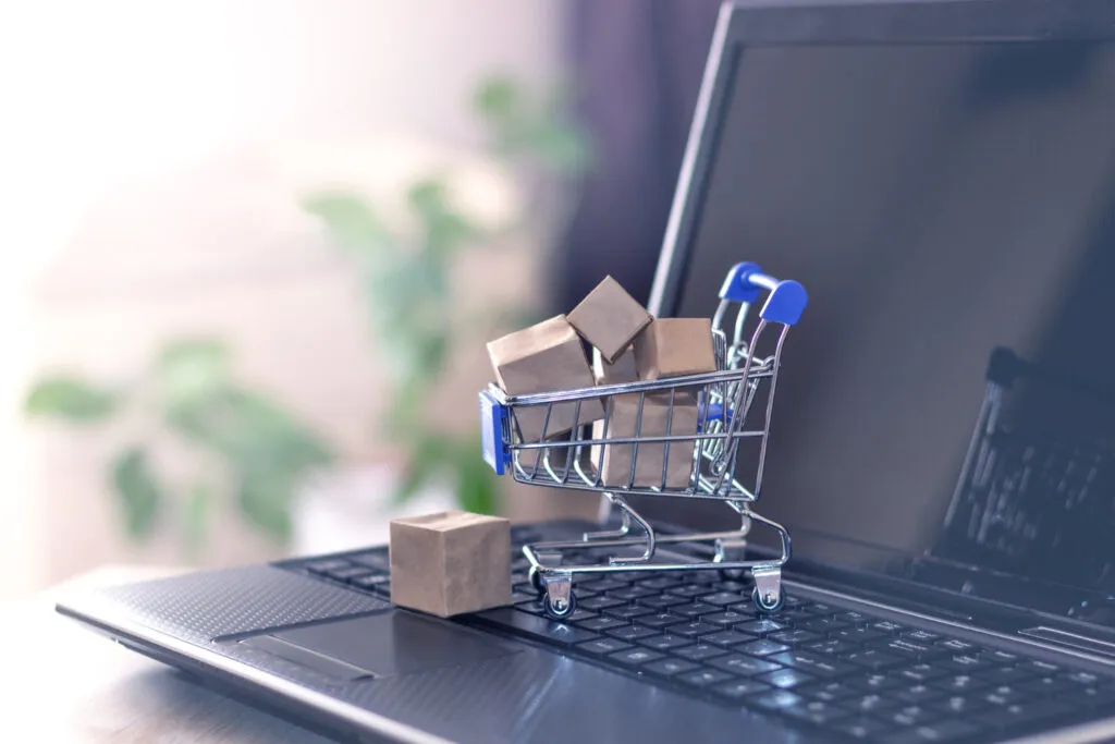 Obsługa sklepów internetowych RedCart - usługi informatyczne Poznań
